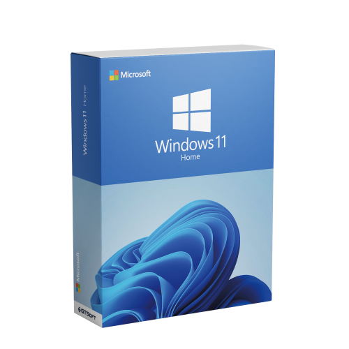Windows 11 Home (OEM)